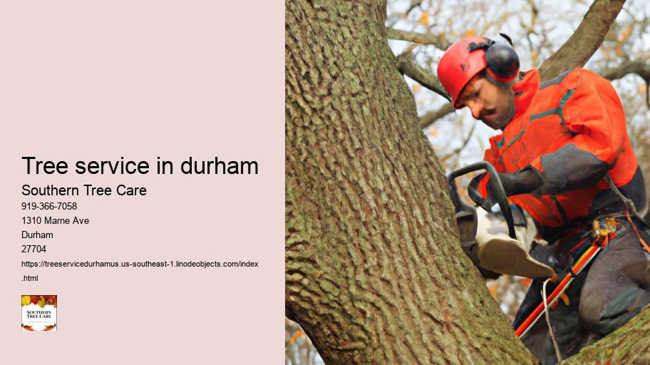 tree service in durham