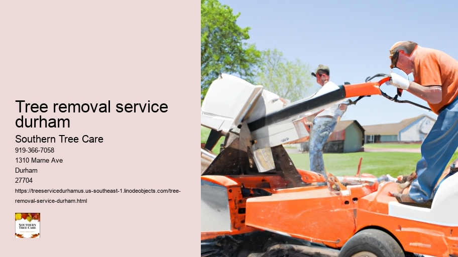 tree removal service durham